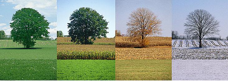 像素风校园模拟经营新作《学园构想家》免费试玩 晒愿望单赢Steam礼品卡