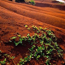 依旧无敌！《荒野大镖客2》vs《羊蹄山之魂》对比视频