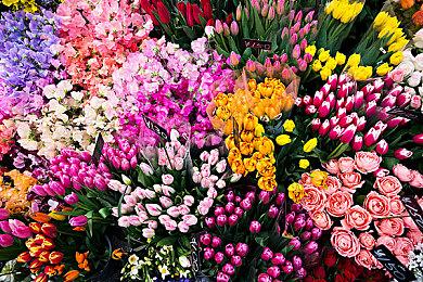 《咩咩启示录》首个免费更新演示 2023年上线